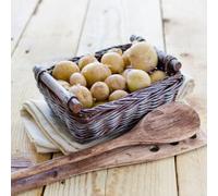 Potato T&M Favourites Collection First Early Second Early Maincrop Bestselling Varieties 6kg x or 12kg x Tubers (2kg Of Each Variety) By Thompson and Morgan