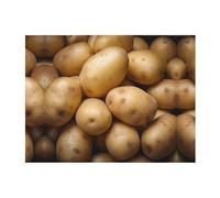 Potato Throw Blanket 50" X 40" Fluffy Large Big Blanket Flannel Blankets For Sofa Couch Bed