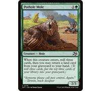 Pothole Mole | Aetherdrift