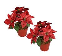 POTRUWE 2 Pack Red Poinsettias Artificial Christmas Flowers, Simulated Potted Plant Potted Plants, Fake Artificial Poinsettia Flowers in Pot,Plant Saucers for Indoor Outdoor (Red)