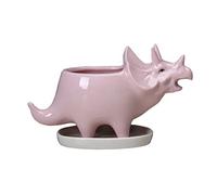 Pots For Plants, Succulent Plant Pots Dinosaur Planter Holder with Tray Cute Ceramic Triceratops Animal Flower Cactus