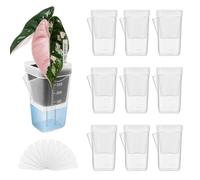 Pots of Autonomous Plants | Pack of 10 Cache-Pots Transparents à Réserve d'Eau | Mini Pot d'Intérieur pour Culture Semi- pour Boutures Violettes Africaines, Arrosage Intelligent et Facile