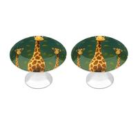 POTSCBVW 2 Pack Cartoon Giraffe Cabinet Knobs Round 1.1" X 0.8" - Stainless Steel Drawer Pulls Minimalism Drawer Knobs Cabinet Hardware for Kitchen, Furniture Doors & Drawers