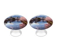 POTSCBVW 2 Pack Mount Fuji Cherry Blossom Trees Cabinet Knobs Round 1.1" X 0.8" - Stainless Steel Drawer Pulls Minimalism Drawer Knobs Cabinet Hardware for Kitchen, Furniture Doors & Drawers