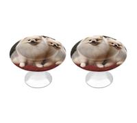 POTSCBVW 2 Pack Short-haired Pomeranian Dog Cabinet Knobs Round 1.1" X 0.8" - Stainless Steel Drawer Pulls Minimalism Drawer Knobs Cabinet Hardware for Kitchen, Furniture Doors & Drawers