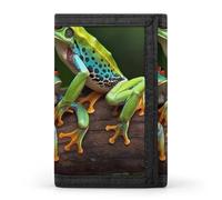 POTSCBVW Colored Frogs And Dragonflies Wallet Compact Trifold Wallet with Keychain Lightweight & Durable Purse for Outdoor, style, One size, Classic