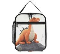 POTSCBVW Funny Dragon Lunch Bag Large Capacity, Insulated Lunch Tote with Secure Buckle, Leakproof Cooler Tote Bag for Work, Gym, Picnic, Travel & Outdoor Activities