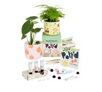 Pott’d Paintables Paint-a-Plant Pot Kit, DIY Pottery Painting Kit for Adults with Plant Pots, Acrylic Paints, Brushes, Pencil and Guide, Craft Kit for Adults, Home Décor