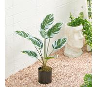 Potted Fake Plants Artificial Calathea White Fusion for Home Decoration