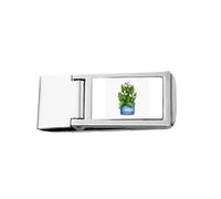 Potted Magnolia Art Deco Fashion Slim Money Clip Stainless Holder Pocket Wallet