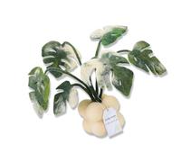 Potted Plant Wool Felt Set Needles Felt Supplies have Instruction Pads for Beginner Wool Felt Supplies
