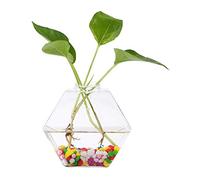 Potted Tool Hanging Plants Flowers Glass Vase Wall Hydroponic Aquarium Container Home Decor #3 Home Gardening (hexagon)