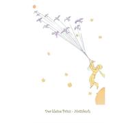 Potter - Der kleine Prinz - Notizbuch Notebook Fantasy Fantasie Le - X555z