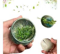 Pottery Herb Stripper Bowl, Herb Stripper Bowl Ceramic, Kitchen Leaf Stripping Tools, Handmade Different Round Hole Sizes for Peeling Off The Leafy Assembly of Cilantro, Rosemary (Green)