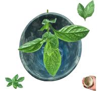 Pottery Herb Stripper Bowl, Upgrade Herb Stripper Cup for Mint, Basil & Parsley, Fast and Efficient Kitchen Gadget for Home Cooks & Chefs (A)