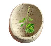 Pottery Herbs Stripper, Handmade Ceramic Herb Peeling Bowl, 4 Holes Pottery Herb Stripper Bowls, Leaf Stripping Bowl, Multipurpose Kitchen Tool for Rosemary Thyme, Separating Leaves and Stems