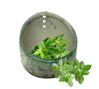 Pottery Vanilla Stripper Bowl - Kitchen Peeler with Multi-Size Holes | Ceramic Vanilla Peeling Cup Bowl for Cooking Collard Greens, Mint, Rosemary, Parsley, Home, Picnic, Restaurant, Meal Prep