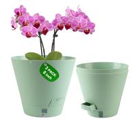Pottiffe Self-Watering Pots For Indoor Plants, 20cm Flower Pots For Indoor Plants, 3 Packs Plastic Planters With Drainage Holes & Saucers, Planting Pots Outdoor