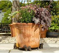 Potty Feet Bichon Frise Themed Plant Pot Feet - Bronze Color - Set of 3