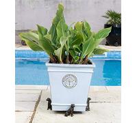 Potty Feet Border Terrier Figures Plant Pot Feet - Planter Support - Handmade Decorative Ornaments - 3pcs