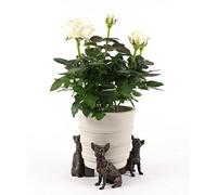 Potty Feet Chihuahua Figures Plant Pot Feet - Planter Support - Handmade Decorative Ornaments - 3pcs