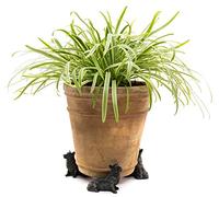 Potty Feet Corgi Dog Figures Plant Pot Feet - Planter Support - Handmade Decorative Ornaments - 3pcs