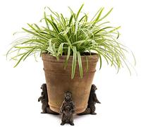 Potty Feet Grizzly Bear Figures Plant Pot Feet - Planter Support - Handmade Decorative Ornaments - 3pcs