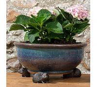 Potty Feet Hedgehog Figures Plant Pot Feet - Planter Support - Handmade Decorative Ornaments - 3pcs
