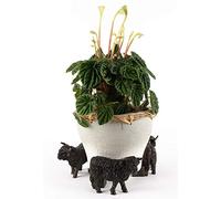 Potty Feet Highland Cow Figures Plant Pot Feet - Planter Support - Handmade Decorative Ornaments - 3pcs