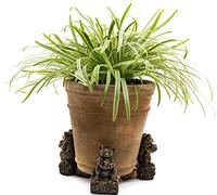 Potty Feet Koala Bear Figures Plant Pot Feet - Planter Support - Handmade Decorative Ornaments - 3pcs