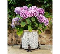 Potty Feet Large Moongazing Hare Figures Plant Pot Feet - Planter Support - Handmade Decorative Ornaments - 3pcs