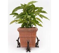 Potty Feet Large Sitting Hare Figures Plant Pot Feet - Planter Support - 3pcs