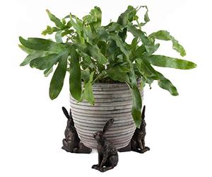 Potty Feet Large Sitting Hare Figures Plant Pot Feet - Planter Support - Handmade Decorative Ornaments - 3pcs