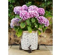 Potty Feet Large Vigilant Hare Figures Plant Pot Feet - Planter Support - Handmade Decorative Ornaments - 3pcs