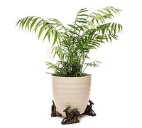 Potty Feet Leaping Stag Themed Plant Pot Feet - Bronze Color - Set of 3
