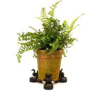 Potty Feet Mallard Duck Figures Plant Pot Feet - Planter Support - Handmade Decorative Ornaments - 3pcs