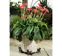 Potty Feet Pug Figures Plant Pot Feet - Planter Support - Handmade Decorative Ornaments - 3pcs