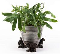 Potty Feet Sheep Figures Plant Pot Feet - Planter Support - Handmade Decorative Ornaments - 3pcs