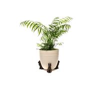 Potty Feet Sitting Cat Figures Plant Pot Feet - Planter Support - Handmade Decorative Ornaments - 3pcs