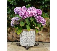 Potty Feet Sleeping Cat Curled Up Figures Plant Pot Feet - Planter Support - 3pcs