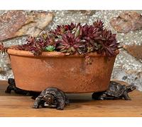 Potty Feet Tortoise Figures Plant Pot Feet Planter Riser - Pot Support Feet- 3pcs