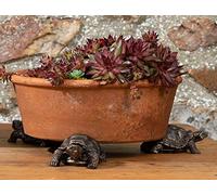 Potty Feet Tortoise Figures Plant Pot Feet - Planter Support - Handmade Decorative Ornaments - 3pcs