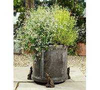 Howling Wolf Plant Pot Feet - Set Of 3