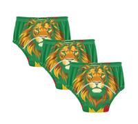 Potty Training Must Haves Pants Rasta King Lion Boxer Briefs Underwear