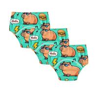 Potty Training Pants Cartoon Cute Capybaras Teal Boxer Briefs Underwear