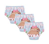 Potty Training Pants Girl Who Loves Capybaras Under Garment
