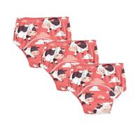 Potty Training Toilet Pants Flying Cow Pink Heart Under Garment
