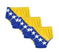 Potty Training Underpants Flag of Bosnia and Herzegovina Under Garment