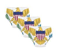 Potty Training Underwear Pants Flag of The United States Virgin