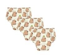 Potty Training Underwear Set Cute Capybaras with an Fruit Boxers